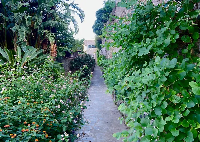 La Capperina فيلة